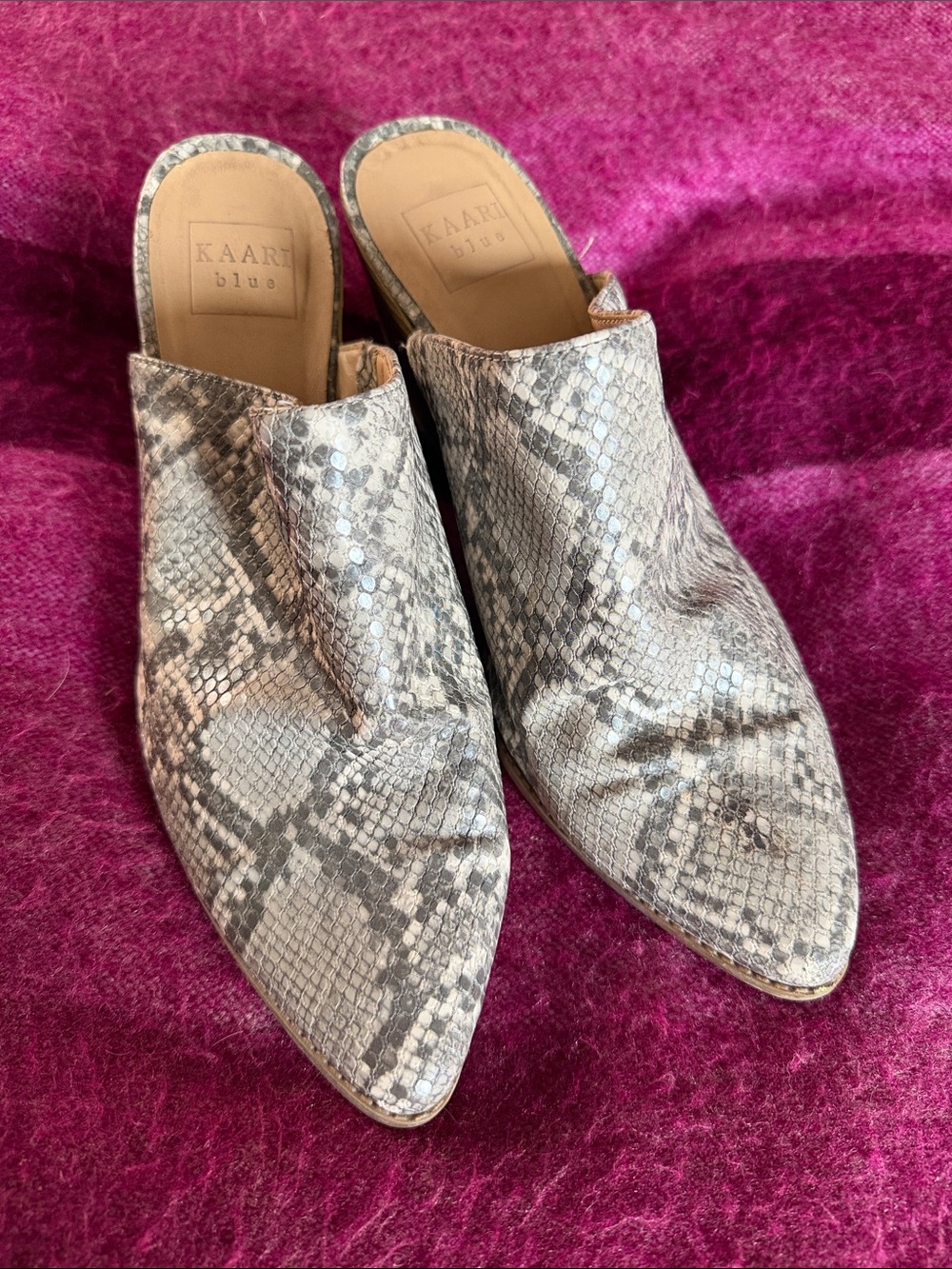 Kaari Blue Snake-Print Pointed Toe Slip-On Mules in Gray Taupe